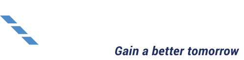 Gainwell Engineering
